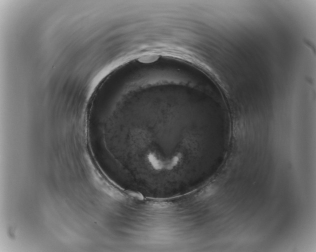 X0000102241522200807251248