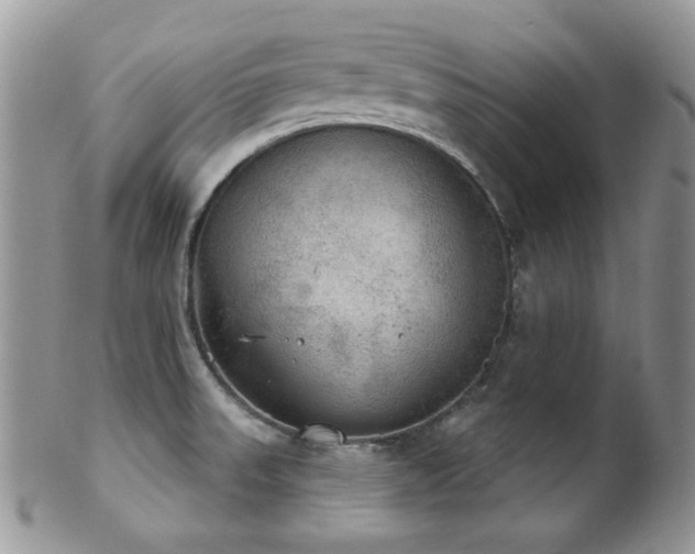 X0000102241523200807251248