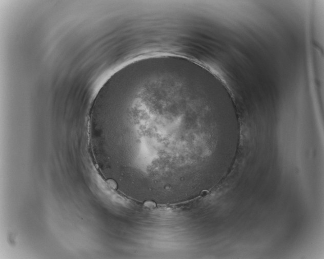 X0000102241524200807251248