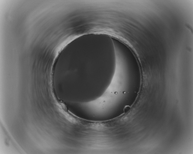 X0000102241525200807251248