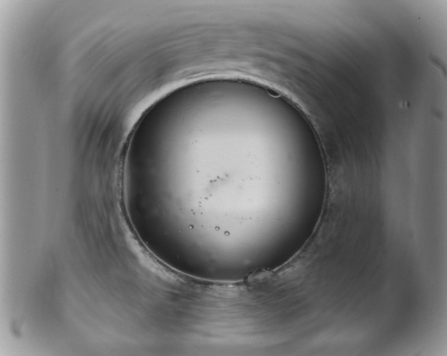 X0000102241526200807251248