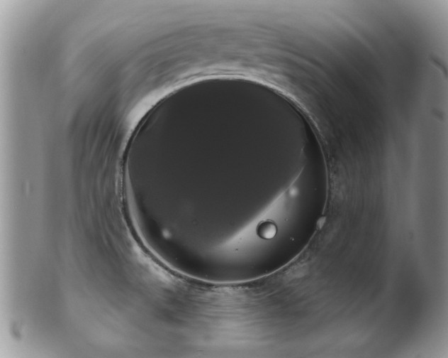 X0000102241527200807251248