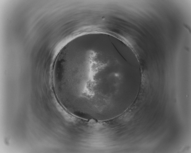 X0000102241528200807251248