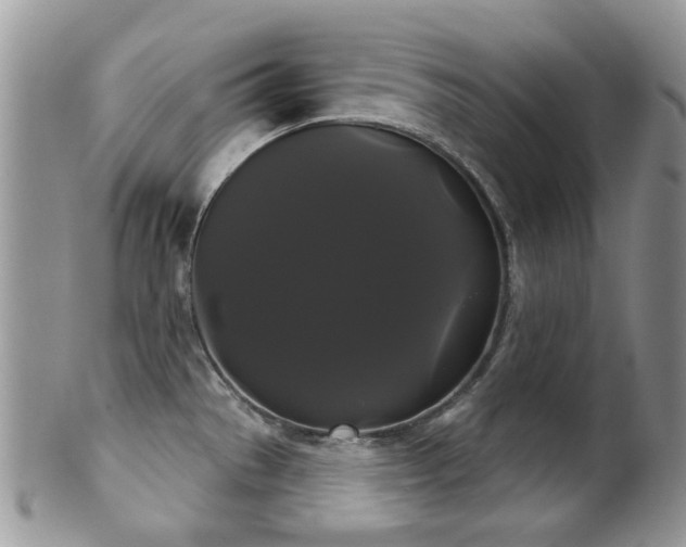 X0000102241529200807251248
