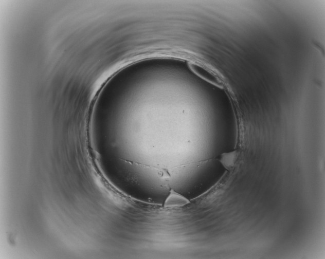 X0000102241530200807251248