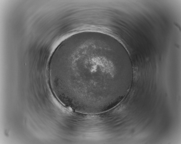 X0000102241531200807251248
