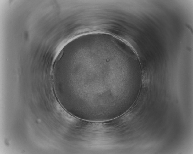 X0000102241532200807251248