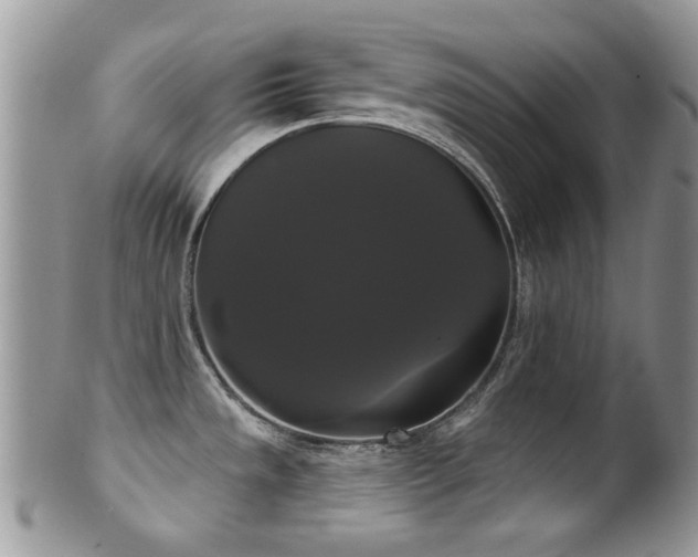 X0000102241533200807251248