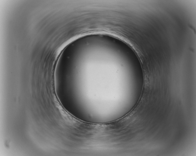 X0000102241534200807251248