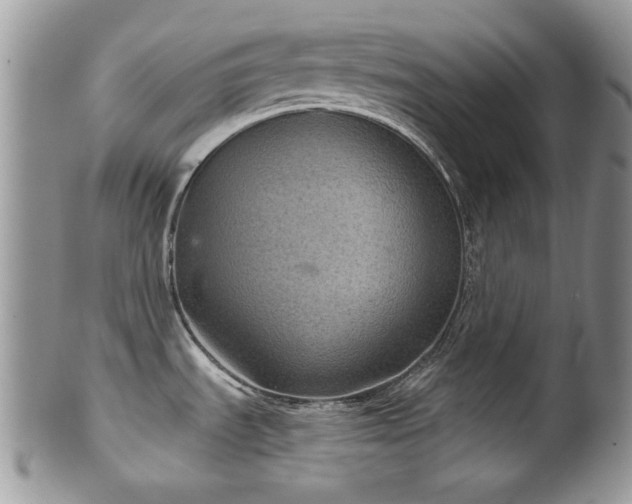 X0000102241535200807251248