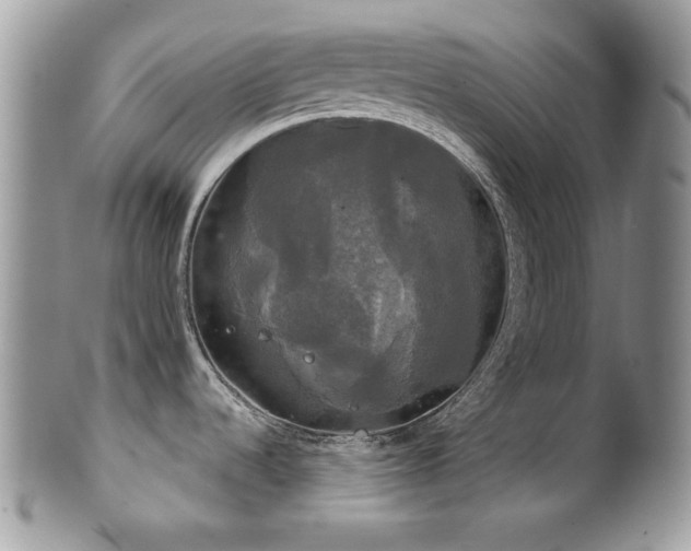 X0000102241536200807251248