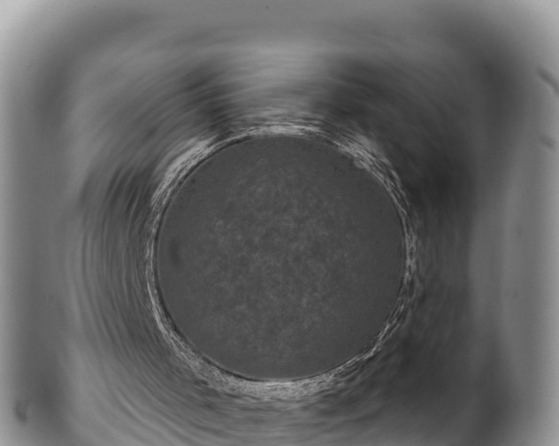 X0000102240001200808011258