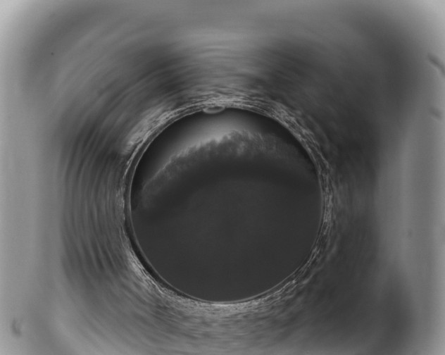 X0000102240002200808011258