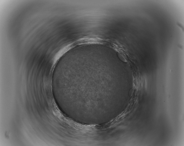 X0000102240004200808011258