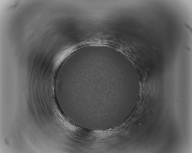 X0000102240005200808011258