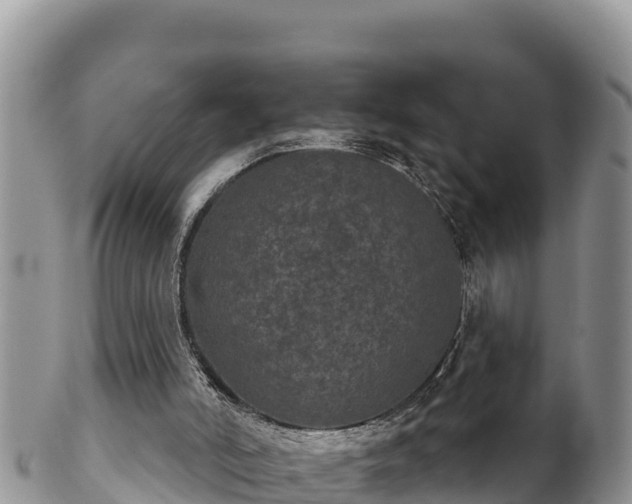 X0000102240006200808011258