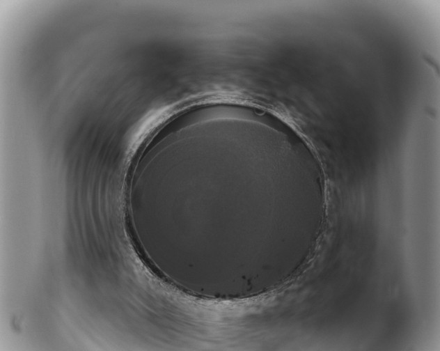 X0000102240007200808011258