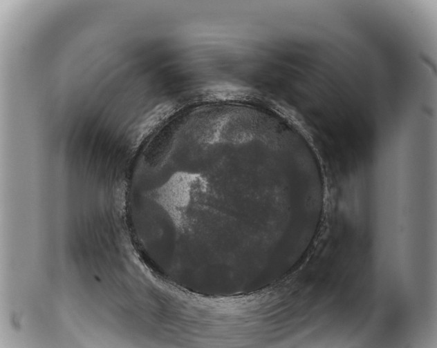 X0000102240010200808011258