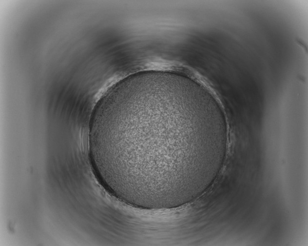 X0000102240011200808011258