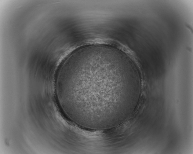 X0000102240012200808011258