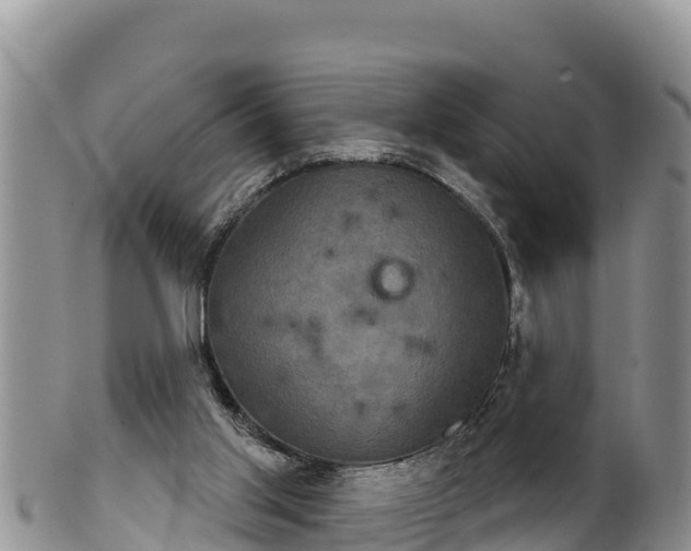 X0000102240013200808011258