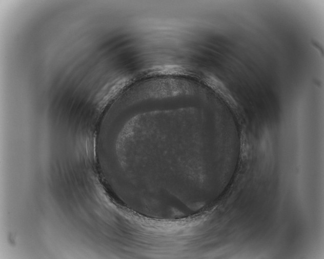 X0000102240014200808011258