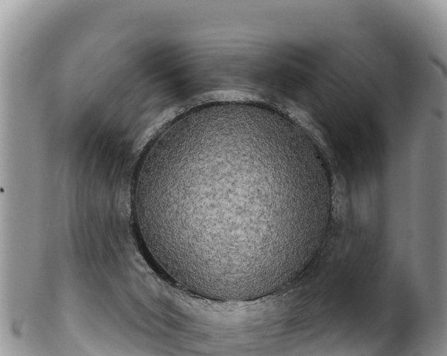 X0000102240015200808011258