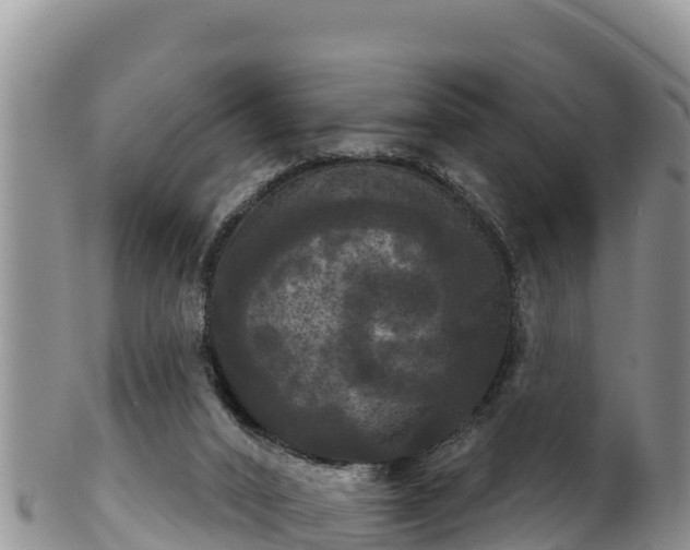 X0000102240016200808011258