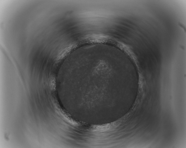 X0000102240017200808011258