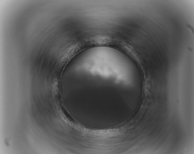 X0000102240018200808011258