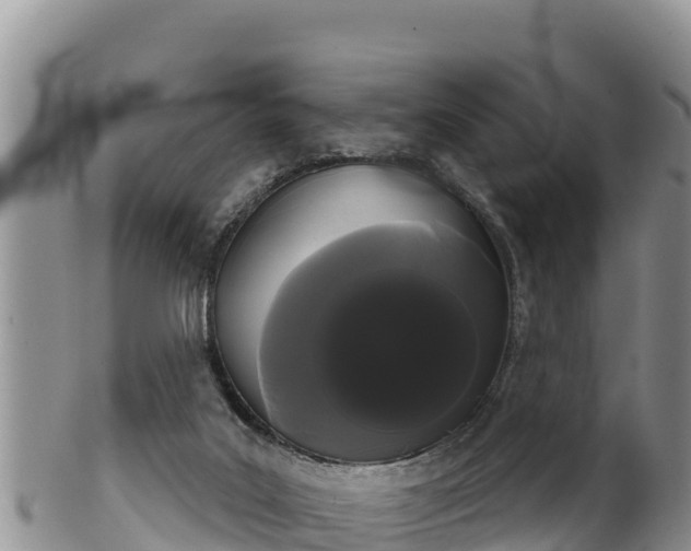 X0000102240019200808011258