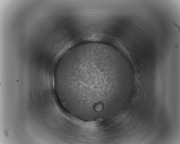 X0000102240020200808011258