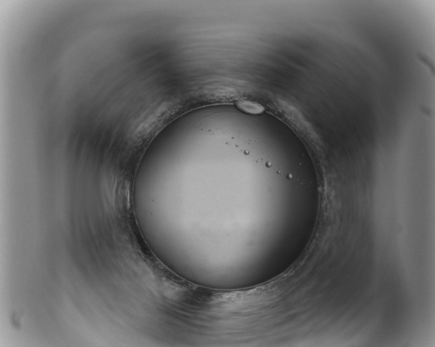 X0000102240021200808011258