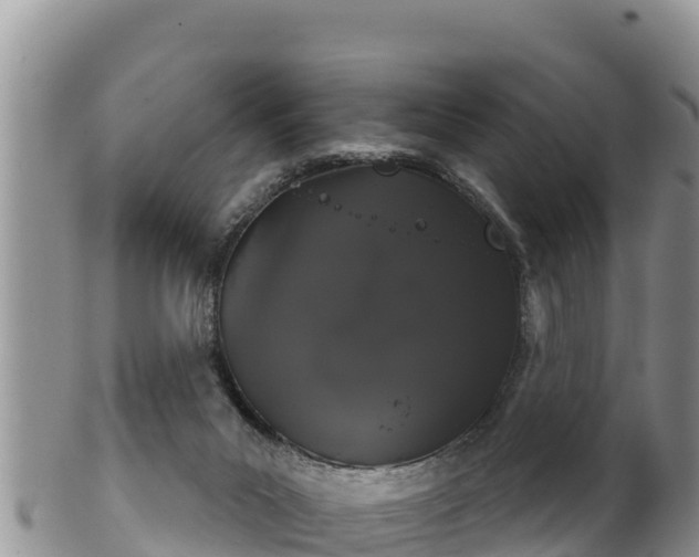 X0000102240023200808011258