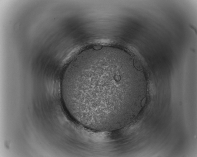 X0000102240024200808011258