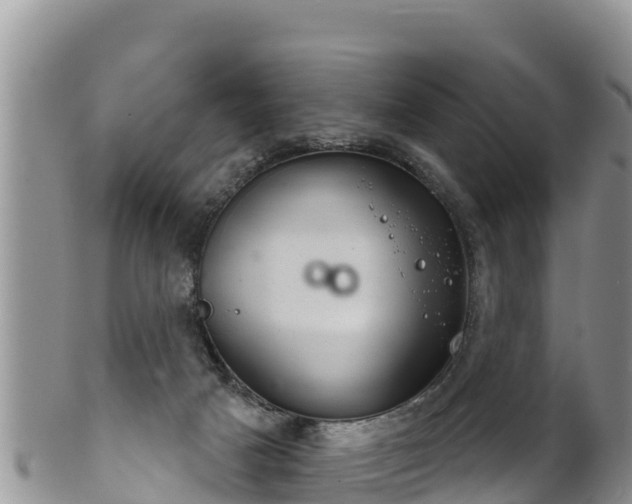 X0000102240025200808011258