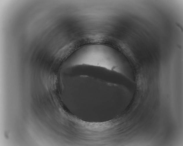 X0000102240026200808011258