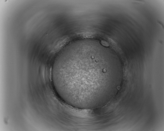 X0000102240028200808011258