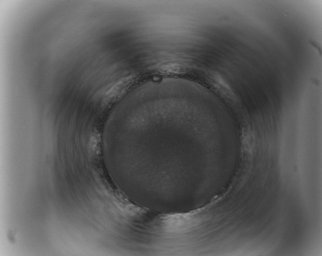 X0000102240029200808011258