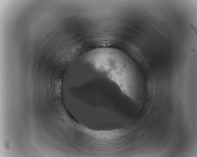 X0000102240030200808011258