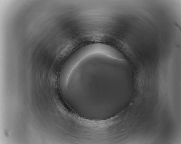 X0000102240031200808011258