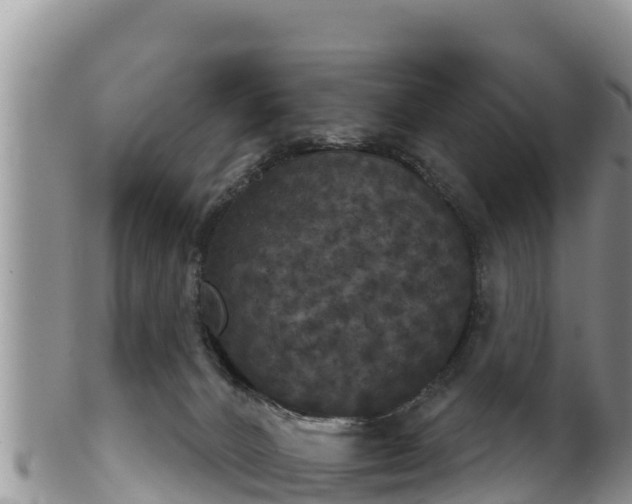 X0000102240032200808011258