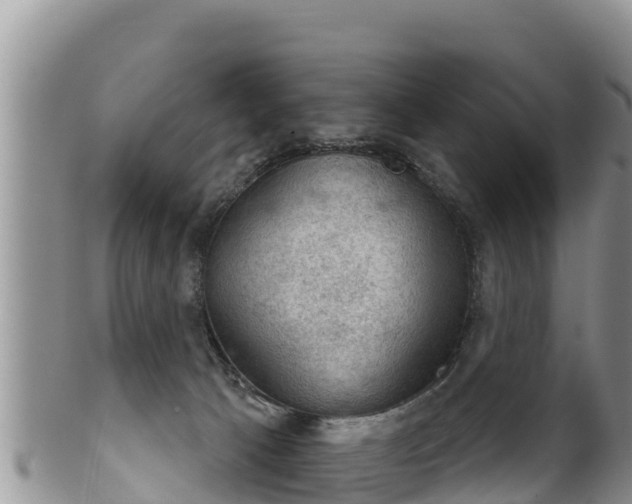 X0000102240033200808011258