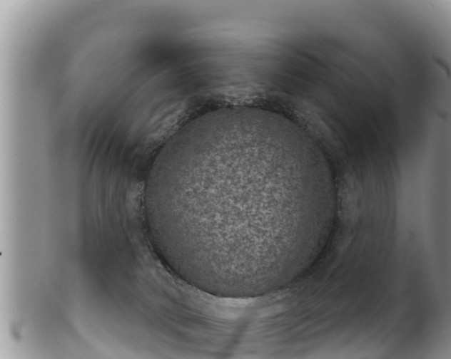 X0000102240034200808011258