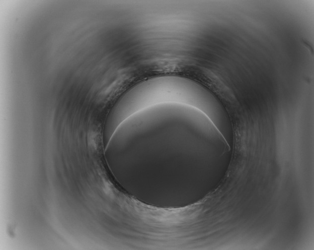 X0000102240035200808011258