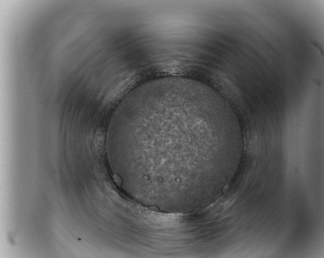 X0000102240036200808011258