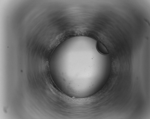 X0000102240038200808011258