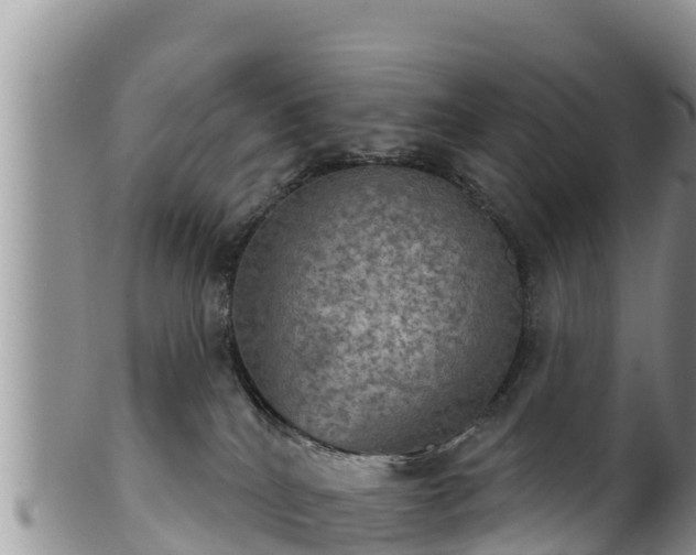 X0000102240040200808011258