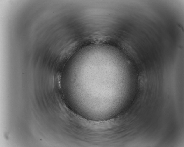 X0000102240042200808011258