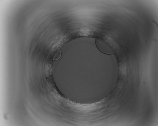 X0000102240043200808011258